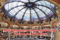 Parisian Elegance: A Guide to Shopping and Fashion in the City of Lights