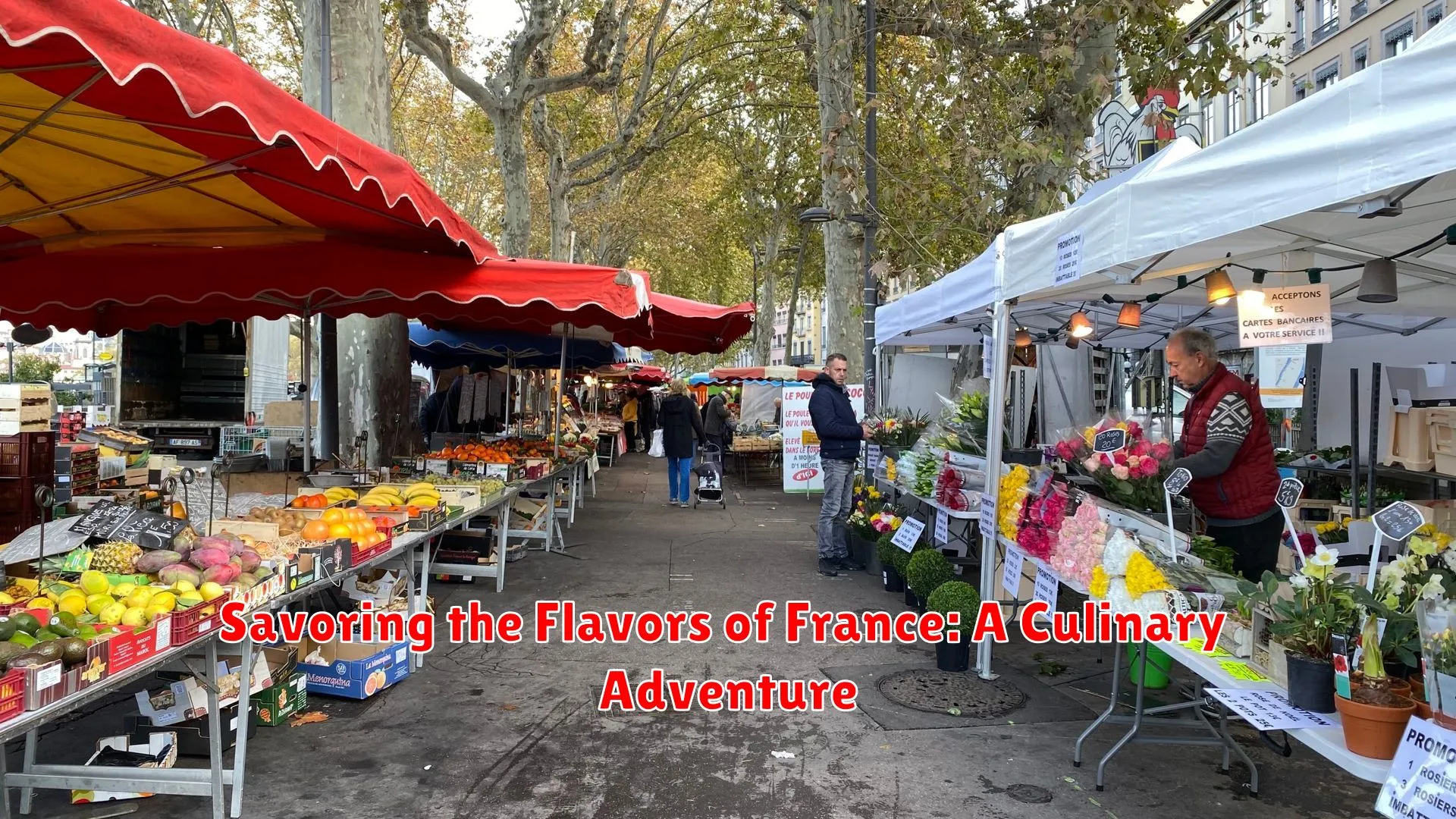 Savoring the Flavors of France: A Culinary Adventure